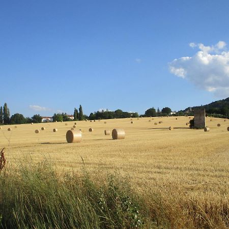 Fossato di Vico Il Risveglio Dei Sensiヴィラ エクステリア 写真