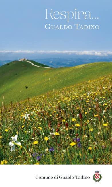 Fossato di Vico Il Risveglio Dei Sensiヴィラ エクステリア 写真