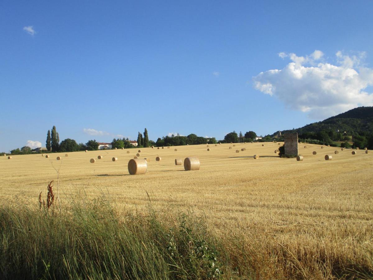 Fossato di Vico Il Risveglio Dei Sensiヴィラ エクステリア 写真